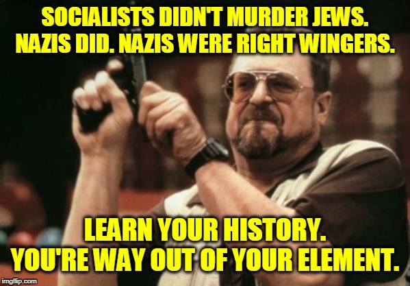 Am I The Only One Around Here Meme | SOCIALISTS DIDN'T MURDER JEWS. NAZIS DID. NAZIS WERE RIGHT WINGERS. LEARN YOUR HISTORY. YOU'RE WAY OUT OF YOUR ELEMENT. | image tagged in memes,am i the only one around here | made w/ Imgflip meme maker