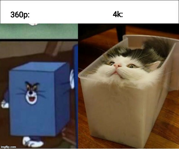 image tagged in cat,tom and jerry | made w/ Imgflip meme maker