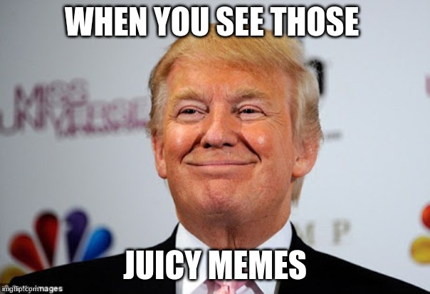 Donald trump approves | WHEN YOU SEE THOSE; JUICY MEMES | image tagged in donald trump approves | made w/ Imgflip meme maker