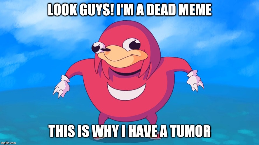 The Untitled Image | LOOK GUYS! I'M A DEAD MEME; THIS IS WHY I HAVE A TUMOR | image tagged in uganda knuckles | made w/ Imgflip meme maker