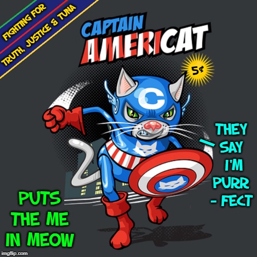 This Feline Super Hero Thinks Inside the Box | FIGHTING FOR; TRUTH, JUSTICE & TUNA; 5¢; THEY SAY  I'M PURR - FECT; \; PUTS THE ME IN MEOW | image tagged in vince vance,super,cats,superman,meow,captain | made w/ Imgflip meme maker