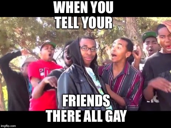 WHEN YOU TELL YOUR; FRIENDS THERE ALL GAY | image tagged in first day on the internet kid | made w/ Imgflip meme maker