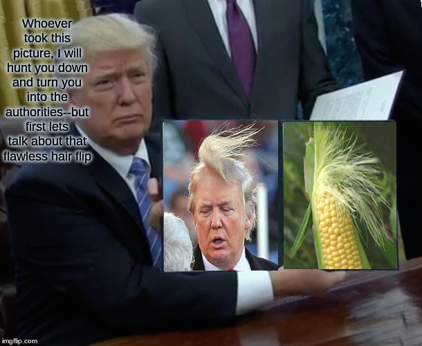 Trump Bill Signing Meme | Whoever took this picture, I will hunt you down and turn you into the authorities--but first lets talk about that flawless hair flip | image tagged in memes,trump bill signing | made w/ Imgflip meme maker