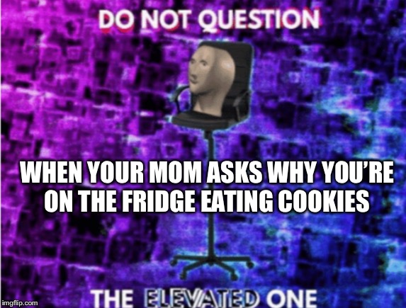 Do not question the elevated one | WHEN YOUR MOM ASKS WHY YOU’RE ON THE FRIDGE EATING COOKIES | image tagged in do not question the elevated one | made w/ Imgflip meme maker