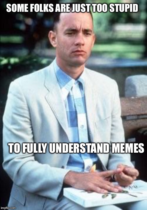 Forest gump | SOME FOLKS ARE JUST TOO STUPID TO FULLY UNDERSTAND MEMES | image tagged in forest gump | made w/ Imgflip meme maker