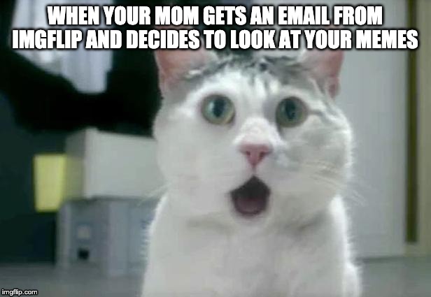 OMG Cat Meme | WHEN YOUR MOM GETS AN EMAIL FROM IMGFLIP AND DECIDES TO LOOK AT YOUR MEMES | image tagged in memes,surprised,cat,imgflip | made w/ Imgflip meme maker