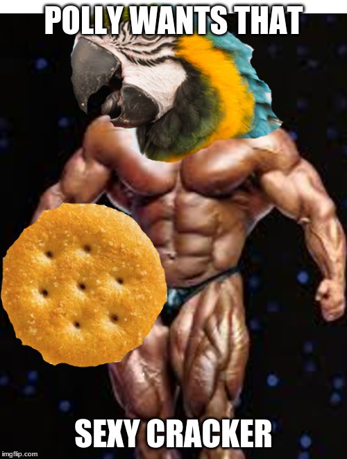 POLLY WANTS THAT; SEXY CRACKER | image tagged in crackers,polly,sexy,bodybuilder,meme,muscular | made w/ Imgflip meme maker