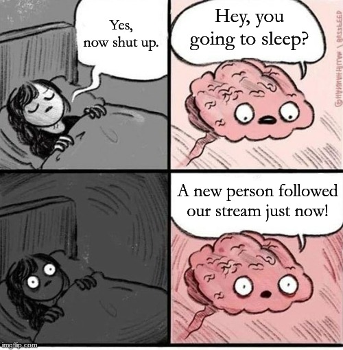 When Someone Follows the Stream | Yes, now shut up. Hey, you going to sleep? A new person followed our stream just now! | image tagged in hey you going to sleep reversed,mods,streams,memes,new follower | made w/ Imgflip meme maker