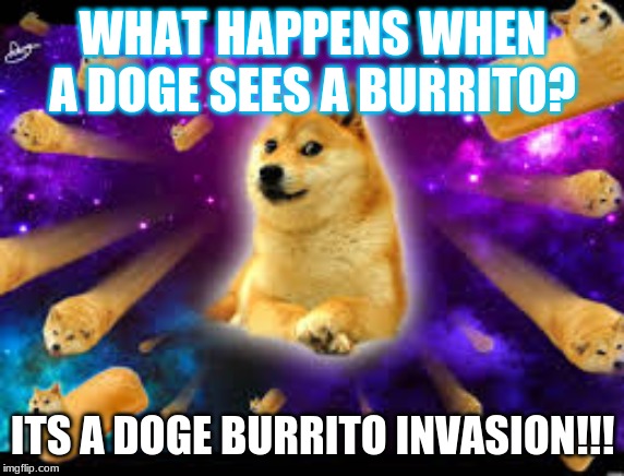 DOGE BURRITO INVASION | WHAT HAPPENS WHEN A DOGE SEES A BURRITO? ITS A DOGE BURRITO INVASION!!! | image tagged in funny memes | made w/ Imgflip meme maker