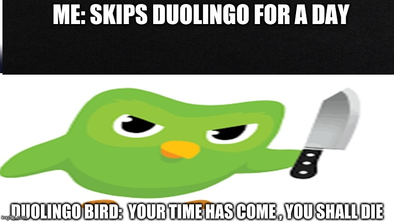 ... | ME: SKIPS DUOLINGO FOR A DAY; DUOLINGO BIRD:  YOUR TIME HAS COME , YOU SHALL DIE | image tagged in funnny | made w/ Imgflip meme maker