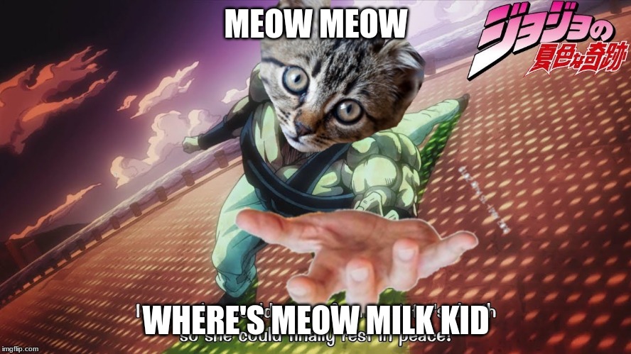 MEOW MEOW; WHERE'S MEOW MILK KID | image tagged in cat,pose,milk,meow,jojo | made w/ Imgflip meme maker