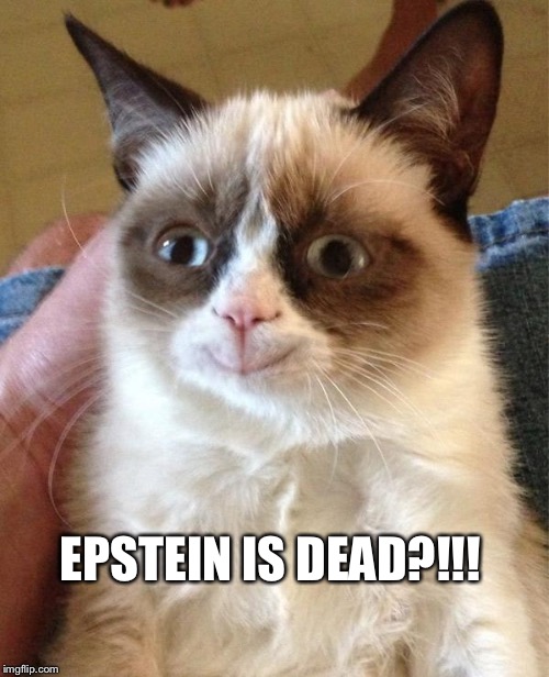 Grumpy Cat Happy Meme | EPSTEIN IS DEAD?!!! | image tagged in memes,grumpy cat happy,grumpy cat | made w/ Imgflip meme maker