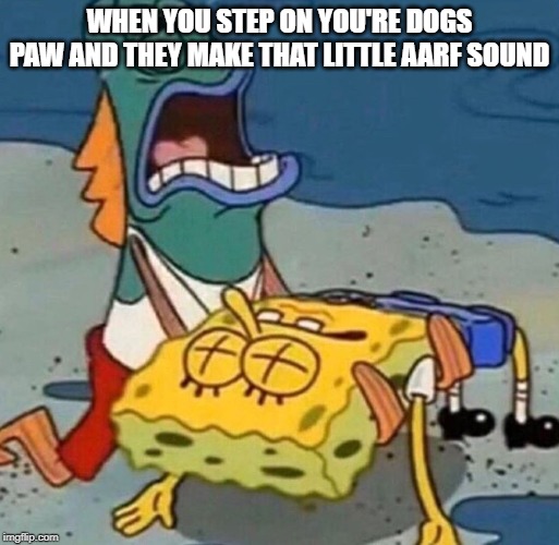 Crying Spongebob Lifeguard Fish |  WHEN YOU STEP ON YOU'RE DOGS PAW AND THEY MAKE THAT LITTLE AARF SOUND | image tagged in crying spongebob lifeguard fish | made w/ Imgflip meme maker