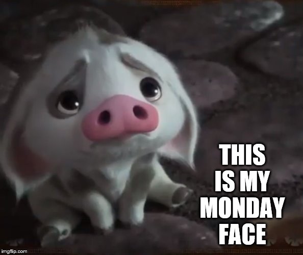 Sad Pua | THIS IS MY MONDAY FACE | image tagged in sad pua | made w/ Imgflip meme maker