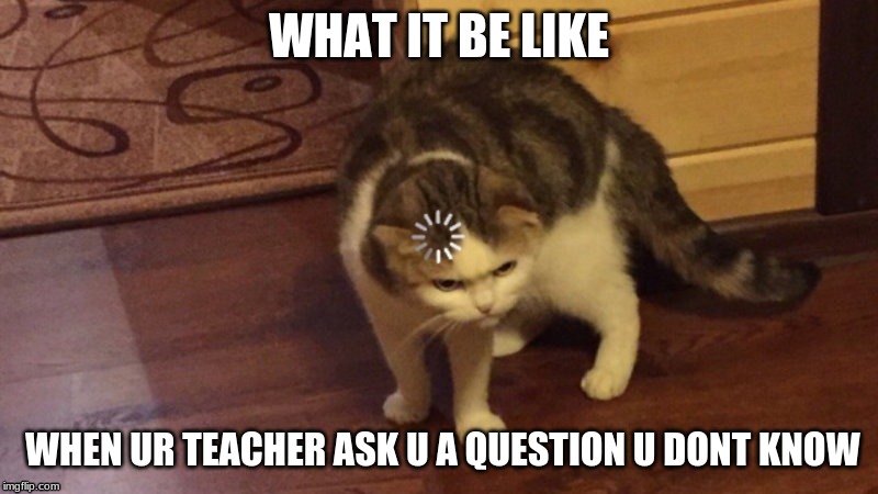 ??? | WHAT IT BE LIKE; WHEN UR TEACHER ASK U A QUESTION U DONT KNOW | image tagged in wut | made w/ Imgflip meme maker