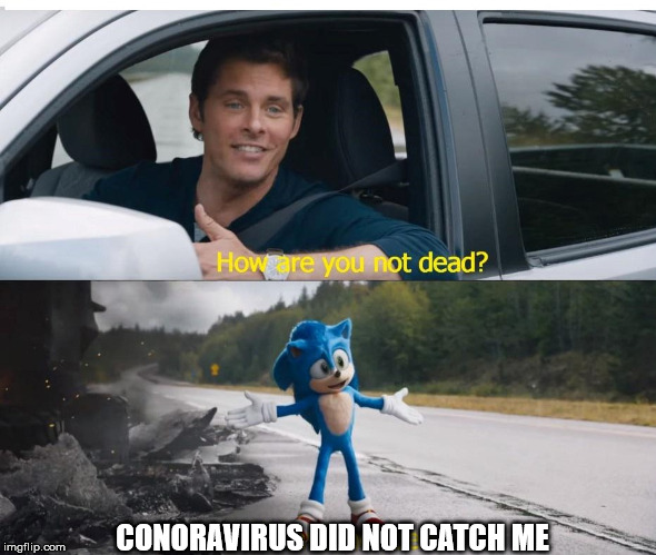 sonic how are you not dead | CONORAVIRUS DID NOT CATCH ME | image tagged in sonic how are you not dead | made w/ Imgflip meme maker