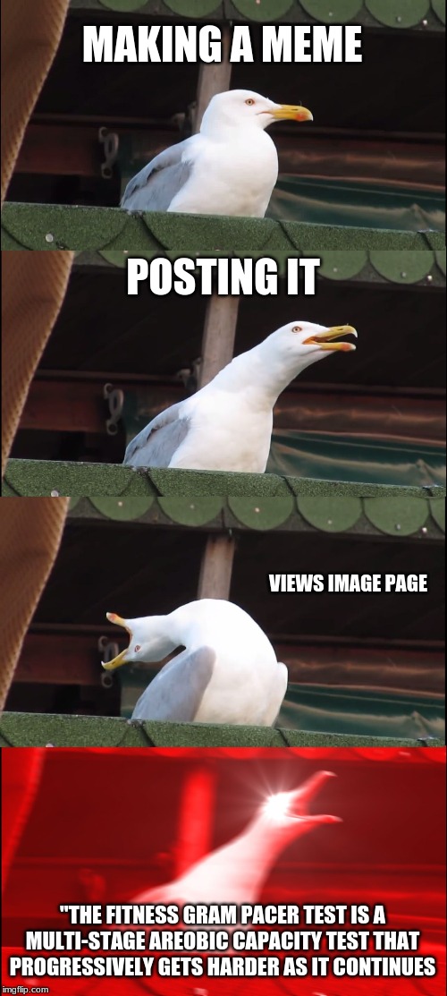 Inhaling Seagull | MAKING A MEME; POSTING IT; VIEWS IMAGE PAGE; "THE FITNESS GRAM PACER TEST IS A MULTI-STAGE AREOBIC CAPACITY TEST THAT PROGRESSIVELY GETS HARDER AS IT CONTINUES | image tagged in memes,inhaling seagull | made w/ Imgflip meme maker