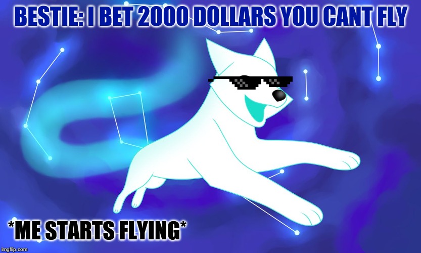 I win da bet | BESTIE: I BET 2000 DOLLARS YOU CANT FLY; *ME STARTS FLYING* | image tagged in i wonder | made w/ Imgflip meme maker