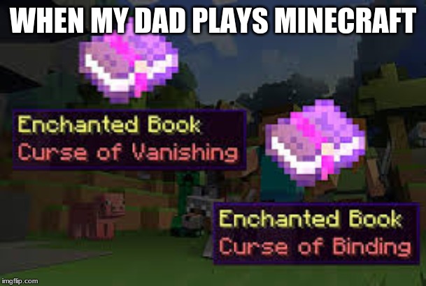 WHEN MY DAD PLAYS MINECRAFT | image tagged in minecraft,dad | made w/ Imgflip meme maker