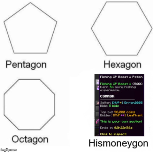 His money is definetly gon | image tagged in gon meme,hypixel skyblock | made w/ Imgflip meme maker