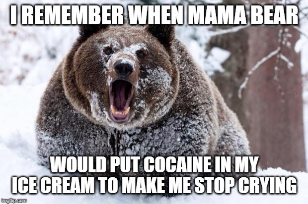 Cocaine bear | I REMEMBER WHEN MAMA BEAR WOULD PUT COCAINE IN MY ICE CREAM TO MAKE ME STOP CRYING | image tagged in cocaine bear | made w/ Imgflip meme maker