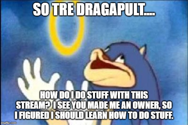 Sonic derp | SO TRE DRAGAPULT.... HOW DO I DO STUFF WITH THIS STREAM?  I SEE YOU MADE ME AN OWNER, SO I FIGURED I SHOULD LEARN HOW TO DO STUFF. | image tagged in sonic derp | made w/ Imgflip meme maker