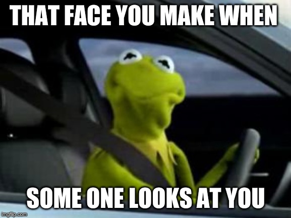 sad kermit | THAT FACE YOU MAKE WHEN; SOME ONE LOOKS AT YOU | image tagged in sad kermit | made w/ Imgflip meme maker