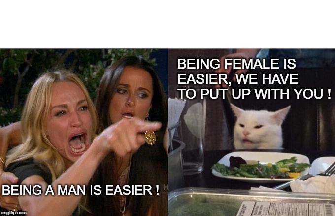 Woman Yelling At Cat Meme | BEING A MAN IS EASIER ! BEING FEMALE IS EASIER, WE HAVE TO PUT UP WITH YOU ! | image tagged in memes,woman yelling at cat | made w/ Imgflip meme maker