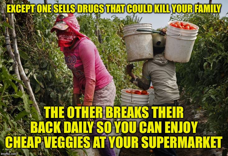 Calling an illegal alien an “undocumented worker” is like calling a drug dealer an “unlicensed pharmacist,” right? | EXCEPT ONE SELLS DRUGS THAT COULD KILL YOUR FAMILY; THE OTHER BREAKS THEIR BACK DAILY SO YOU CAN ENJOY CHEAP VEGGIES AT YOUR SUPERMARKET | image tagged in undocumented workers tomatoes,illegal immigration,drug dealer,migrants,immigrants,tomatoes | made w/ Imgflip meme maker