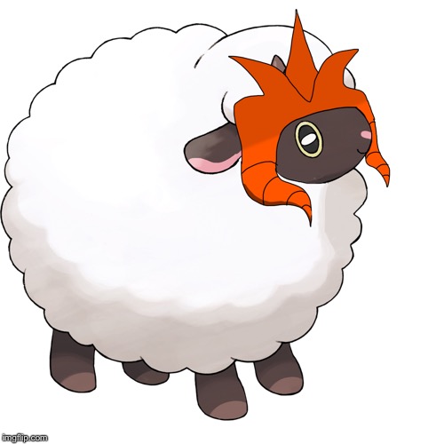 The oc, elite wooloo for elite wooloo on! | image tagged in elite the wooloo | made w/ Imgflip meme maker