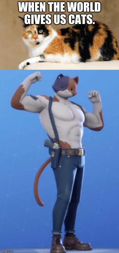 fortnite meme | WHEN THE WORLD GIVES US CATS. | image tagged in fortnite,cat | made w/ Imgflip meme maker