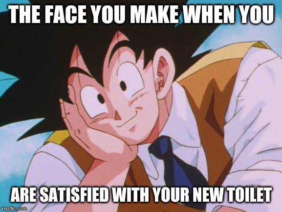 Condescending Goku | THE FACE YOU MAKE WHEN YOU; ARE SATISFIED WITH YOUR NEW TOILET | image tagged in memes,condescending goku | made w/ Imgflip meme maker