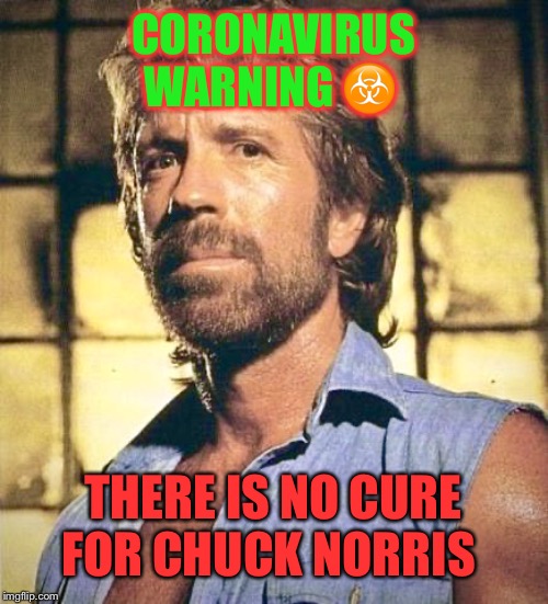 Coronavirus should be afraid | CORONAVIRUS WARNING ☣️; THERE IS NO CURE FOR CHUCK NORRIS | image tagged in chuck norris,memes,coronavirus,the cure,science | made w/ Imgflip meme maker