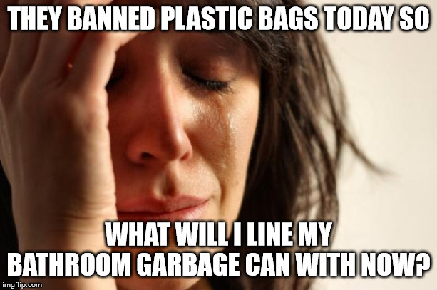 First World Problems Meme | THEY BANNED PLASTIC BAGS TODAY SO; WHAT WILL I LINE MY BATHROOM GARBAGE CAN WITH NOW? | image tagged in memes,first world problems | made w/ Imgflip meme maker