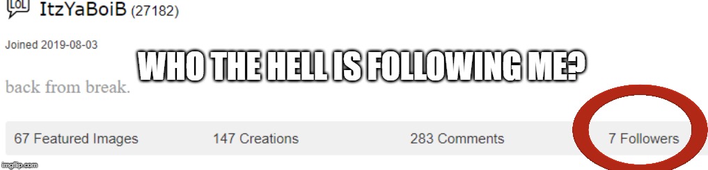 WHO THE HELL IS FOLLOWING ME? | image tagged in why,would,you,follow,me | made w/ Imgflip meme maker