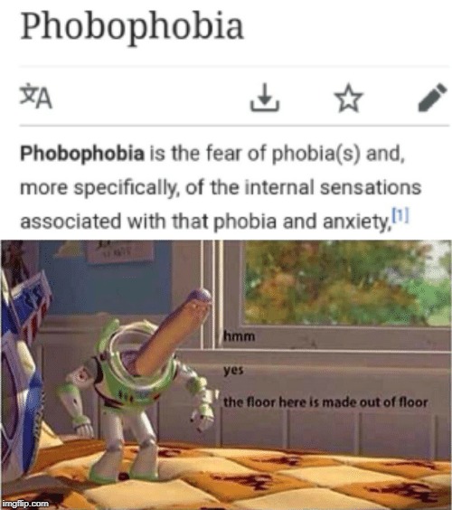 I might have this phobia | image tagged in hmm yes the floor here is made out of floor,memes,funny memes,funny,phobia,things that don't make sense | made w/ Imgflip meme maker