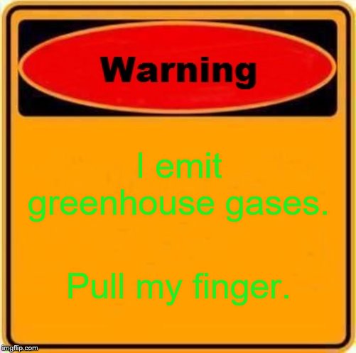Warning Sign Meme | I emit greenhouse gases. Pull my finger. | image tagged in memes,warning sign | made w/ Imgflip meme maker