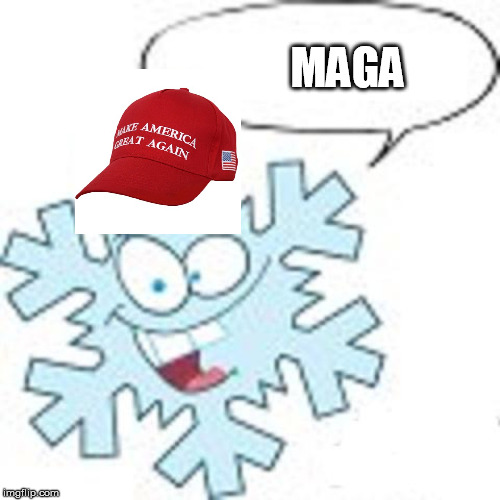 Snowflake | MAGA | image tagged in snowflake | made w/ Imgflip meme maker