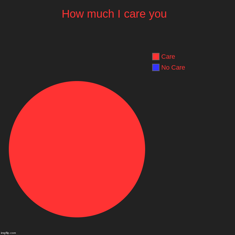 How much I care you  | No Care, Care | image tagged in charts,pie charts | made w/ Imgflip chart maker