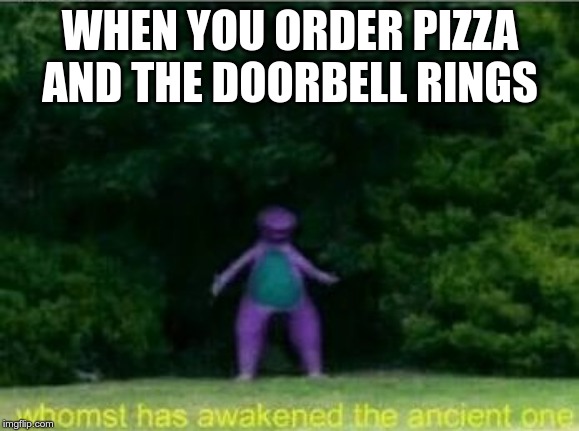 Whomst has awakened the ancient one | WHEN YOU ORDER PIZZA AND THE DOORBELL RINGS | image tagged in whomst has awakened the ancient one | made w/ Imgflip meme maker
