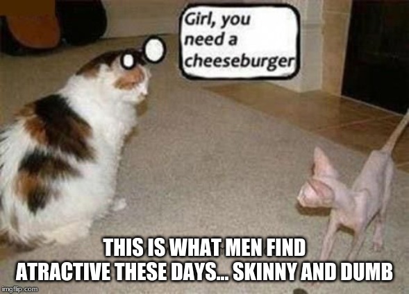 CHEESEBURGERS(: | THIS IS WHAT MEN FIND ATRACTIVE THESE DAYS... SKINNY AND DUMB | image tagged in google images | made w/ Imgflip meme maker