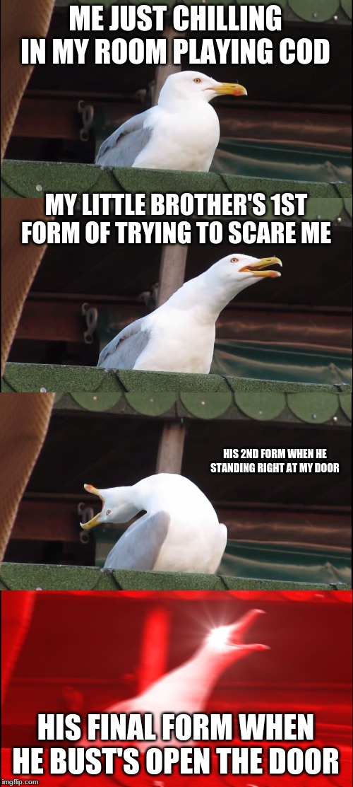 Doesn't everyone hate this | ME JUST CHILLING IN MY ROOM PLAYING COD; MY LITTLE BROTHER'S 1ST FORM OF TRYING TO SCARE ME; HIS 2ND FORM WHEN HE STANDING RIGHT AT MY DOOR; HIS FINAL FORM WHEN HE BUST'S OPEN THE DOOR | image tagged in memes,inhaling seagull | made w/ Imgflip meme maker