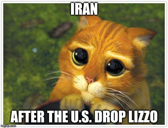 Shrek Cat Meme | IRAN; AFTER THE U.S. DROP LIZZO | image tagged in memes,shrek cat | made w/ Imgflip meme maker