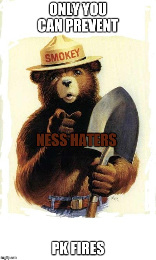 Smokey The Bear | ONLY YOU CAN PREVENT; NESS HATERS; PK FIRES | image tagged in smokey the bear | made w/ Imgflip meme maker
