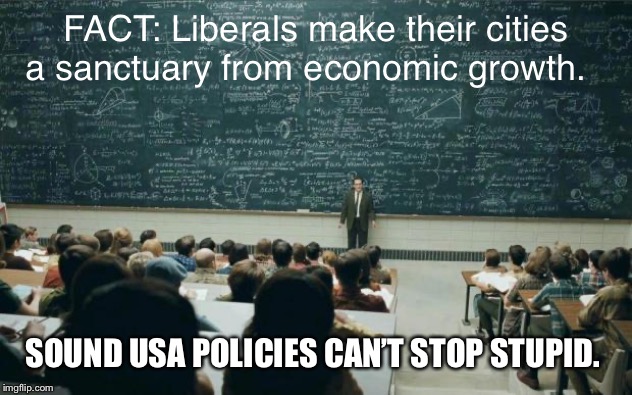 Professor in front of class | FACT: Liberals make their cities a sanctuary from economic growth. SOUND USA POLICIES CAN’T STOP STUPID. | image tagged in professor in front of class | made w/ Imgflip meme maker