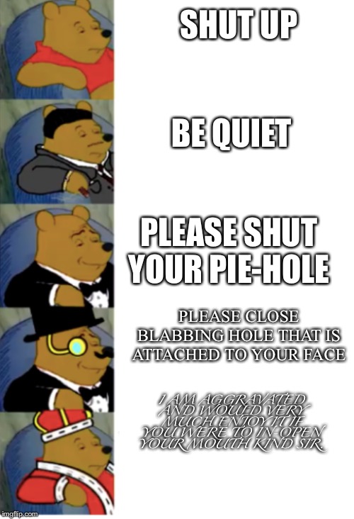 Please shut up | SHUT UP; BE QUIET; PLEASE SHUT YOUR PIE-HOLE; PLEASE CLOSE BLABBING HOLE THAT IS ATTACHED TO YOUR FACE; I AM AGGRAVATED AND WOULD VERY MUCH ENJOY IT IF YOU WERE TO IN-OPEN YOUR MOUTH KIND SIR. | image tagged in ultimate fancy pooh | made w/ Imgflip meme maker