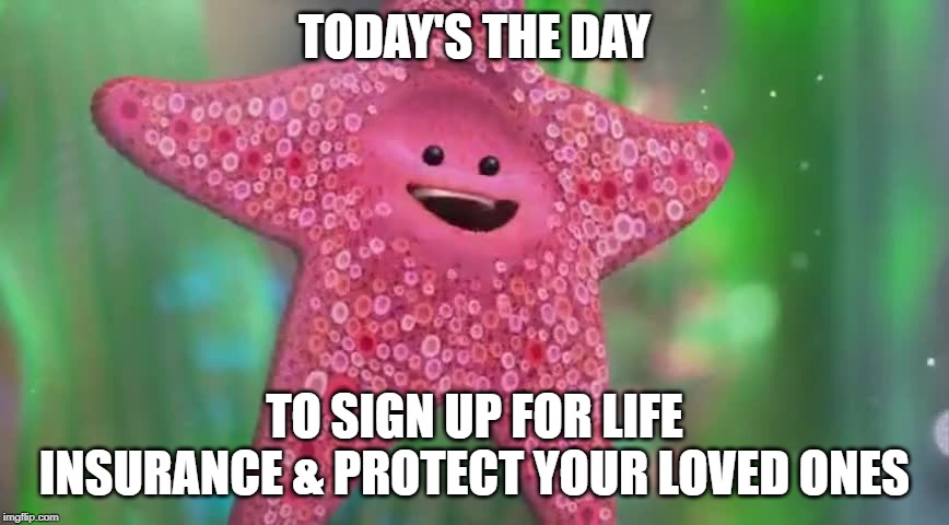 Starfish | TODAY'S THE DAY; TO SIGN UP FOR LIFE INSURANCE & PROTECT YOUR LOVED ONES | image tagged in starfish | made w/ Imgflip meme maker