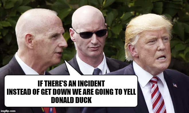 IF THERE'S AN INCIDENT INSTEAD OF GET DOWN WE ARE GOING TO YELL
DONALD DUCK | made w/ Imgflip meme maker