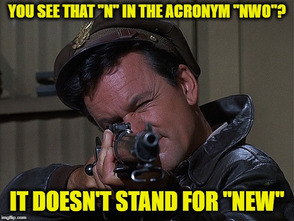 Col. Hogan Grammar Nazi Killer | YOU SEE THAT "N" IN THE ACRONYM "NWO"? IT DOESN'T STAND FOR "NEW" | image tagged in col hogan grammar nazi killer | made w/ Imgflip meme maker