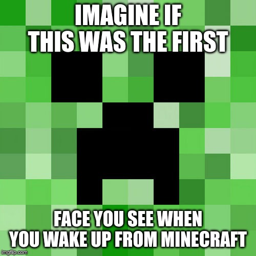 Scumbag Minecraft | IMAGINE IF THIS WAS THE FIRST; FACE YOU SEE WHEN YOU WAKE UP FROM MINECRAFT | image tagged in memes,scumbag minecraft | made w/ Imgflip meme maker